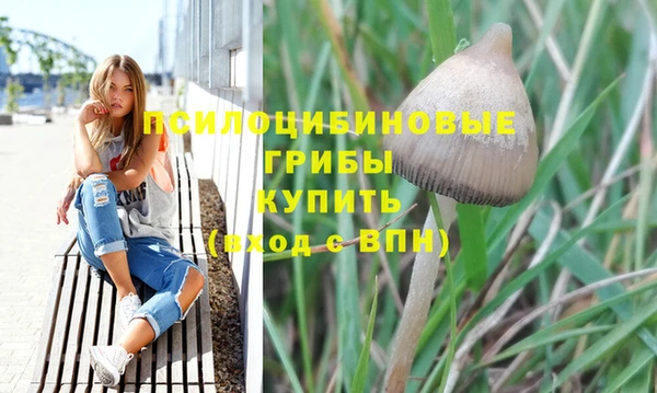 прущие крисы Аркадак